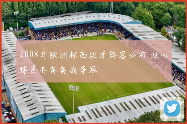2008年欧洲杯西班牙阵容公布 核心球员齐备备战争冠