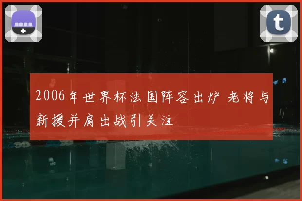 2006年世界杯法国阵容出炉 老将与新援并肩出战引关注