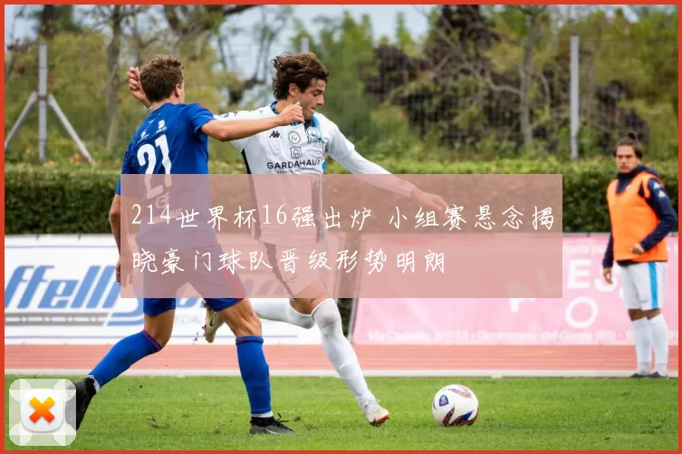 214世界杯16强出炉 小组赛悬念揭晓豪门球队晋级形势明朗