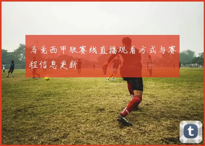 马竞西甲联赛线直播观看方式与赛程信息更新
