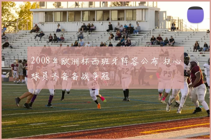 2008年欧洲杯西班牙阵容公布 核心球员齐备备战争冠