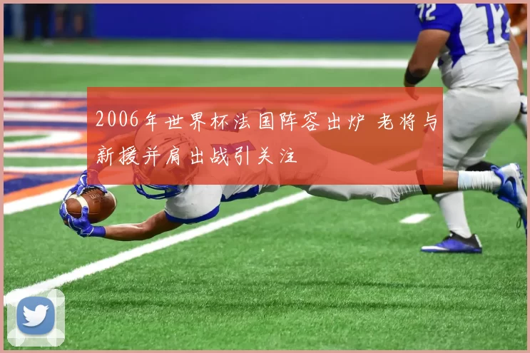 2006年世界杯法国阵容出炉 老将与新援并肩出战引关注