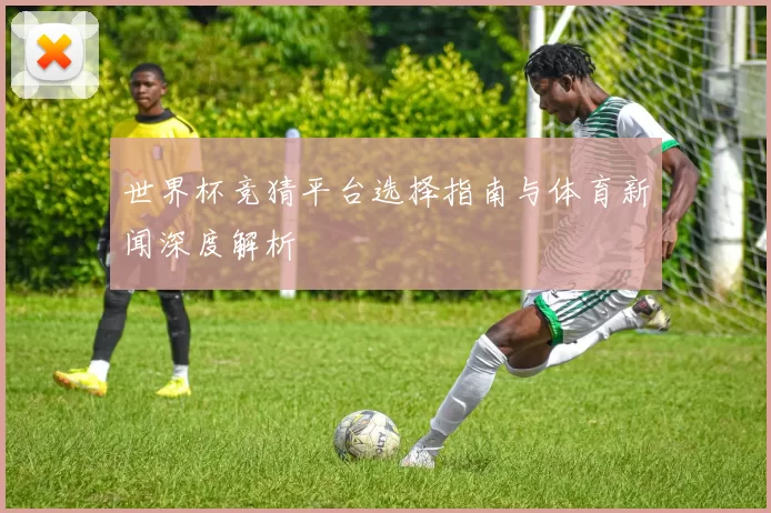 世界杯竞猜平台选择指南与体育新闻深度解析