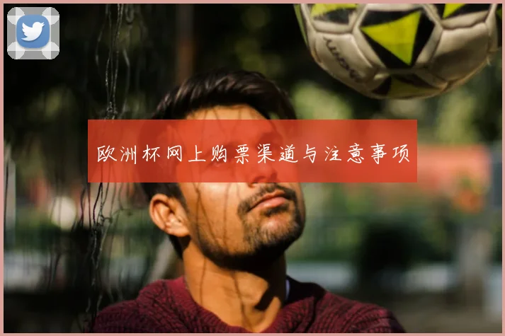 欧洲杯网上购票渠道与注意事项