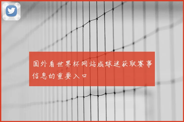 国外看世界杯网站成球迷获取赛事信息的重要入口