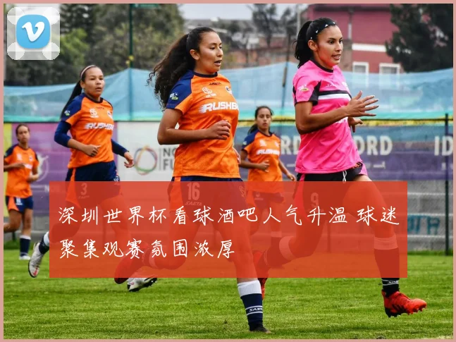 深圳世界杯看球酒吧人气升温 球迷聚集观赛氛围浓厚