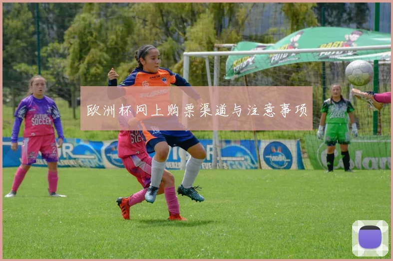 欧洲杯网上购票渠道与注意事项